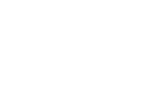 idfa+white.png