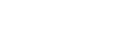 SFF_documentary_2017_white+(1).png